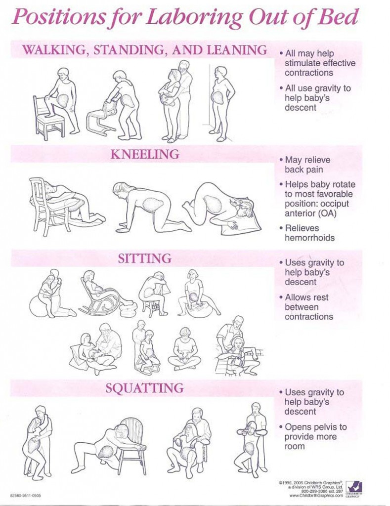 gravid veer gravid veer