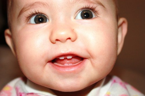 Babypige